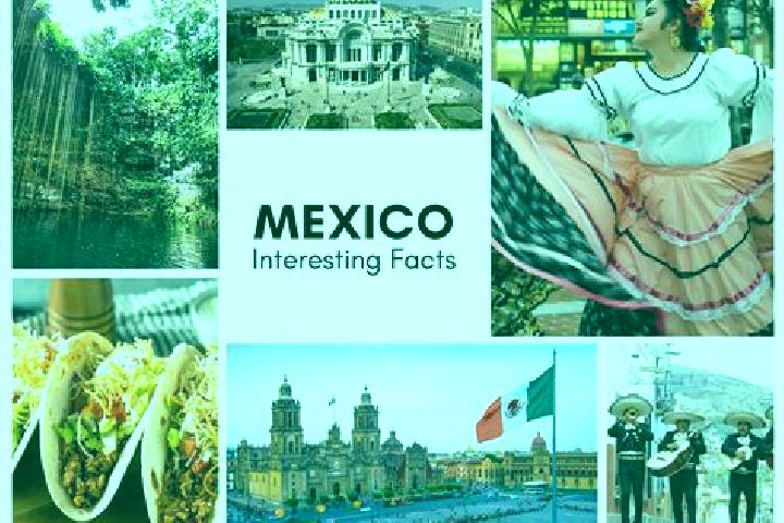 Sadie, 29 — Escort in Emilio Carranza, Mexico