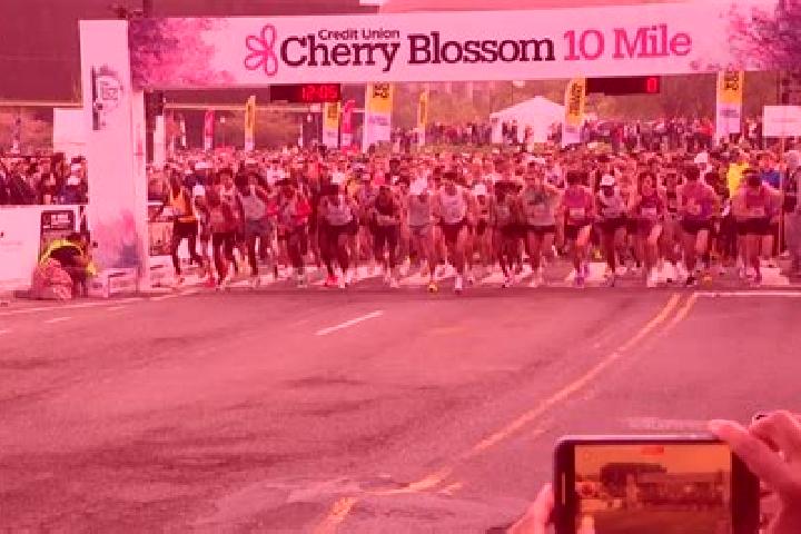 Sadie, 29 — Escort in Ten Mile Run, United States