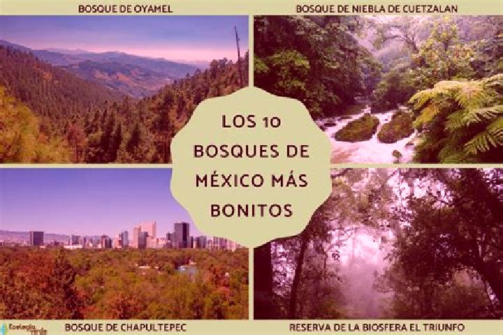 Sadie, 30 — Escort in Altus Bosques, Mexico