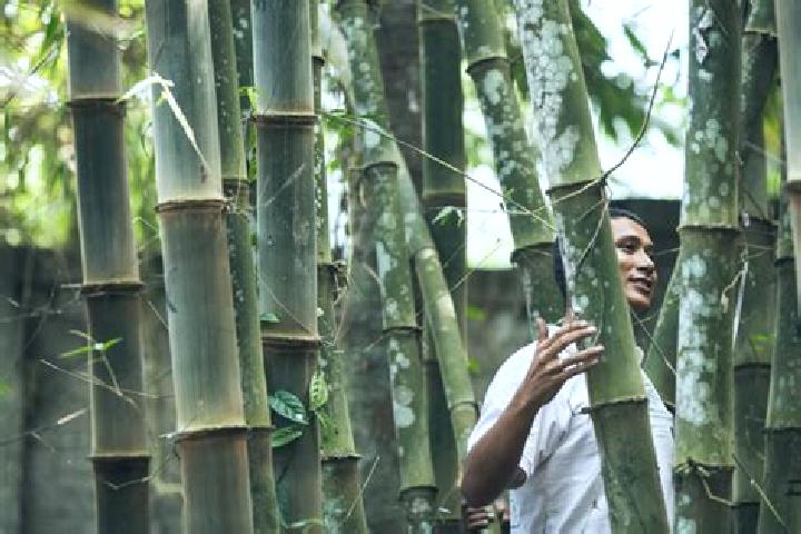 Sadie, 30 — Escort in Bamboo Flat, India