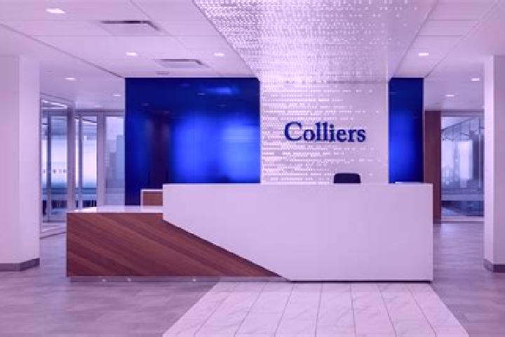 Sadie, 30 — Escort in Colliers, Canada
