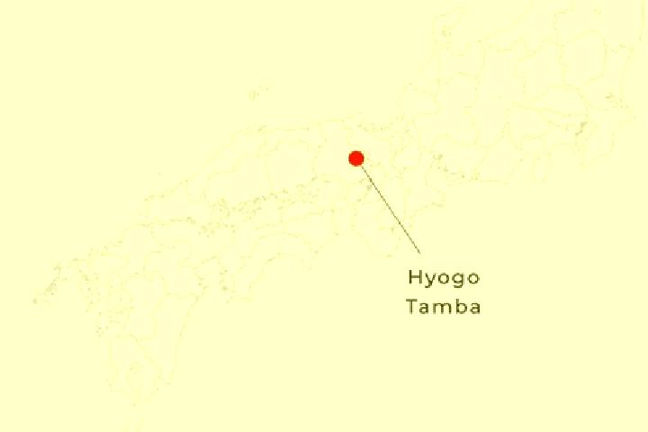 Sadie, 30 — Escort in Tamba, Japan