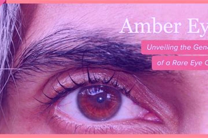 Sadie, 31, a red amber-eyed indian companion based in Daharki. Offering Domination, Duos, OWO, Overnight. Available for incall and outcall, day and evening d...