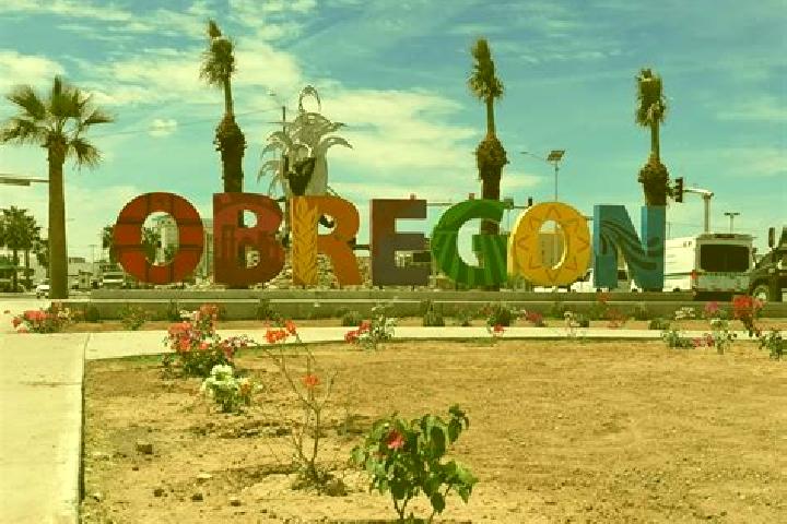 Sadie, 31 — Escort in Ciudad Obregon, Mexico