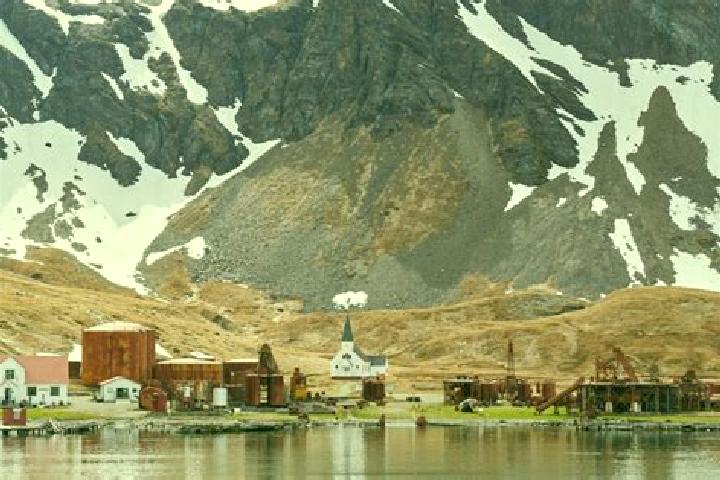 Sadie, 31 — Escort in Grytviken, South Georgia