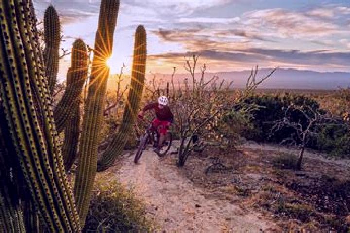 Sadie, 31 — Escort in Jesus Carranza (Rancho de Jesus), Mexico