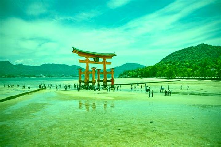 Sadie, 31 — Escort in Miyajima, Japan