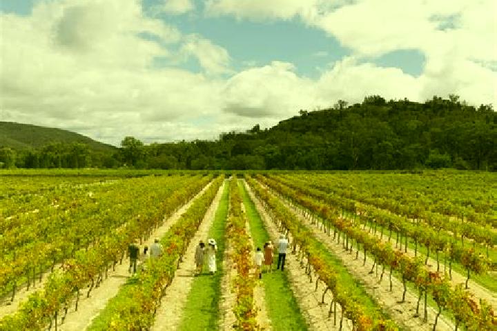 Sadie, 31 — Escort in Vineyard, Australia