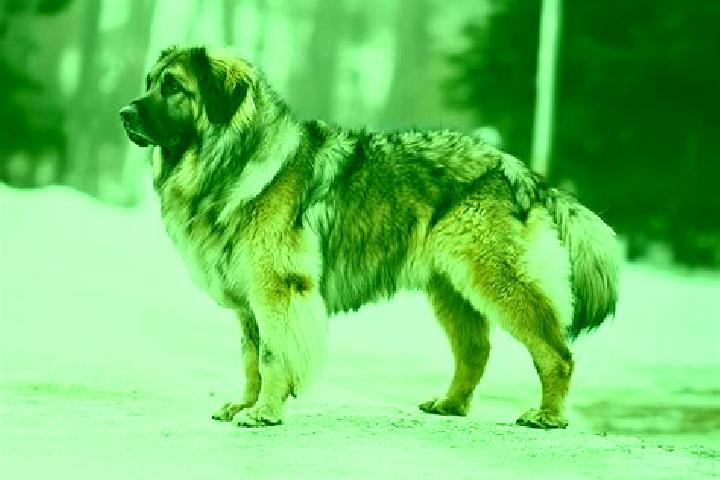 Sadie, 32, a black grey-eyed caucasian companion based in Krasnodar. Offering Travel Companion, Tantra, 69. Available for incall and outcall, overnight booki...