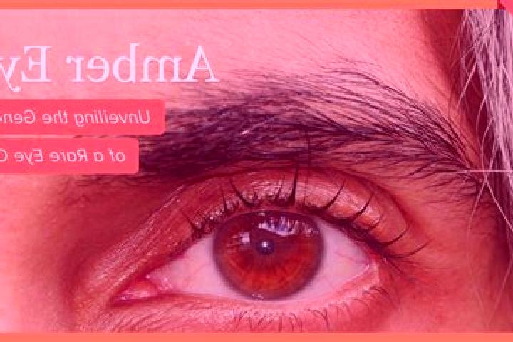 Sadie, 32, a red amber-eyed middle eastern companion based in Dariapur. Offering CIM, Roleplay, Dinner Date, Striptease. Available for incall and outcall, ov...
