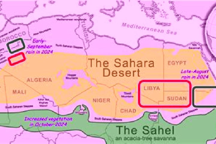 Sadie, 33 — Escort in Haouza, Western Sahara