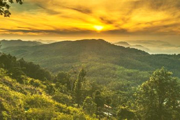 Sadie, 33 — Escort in Yercaud, India