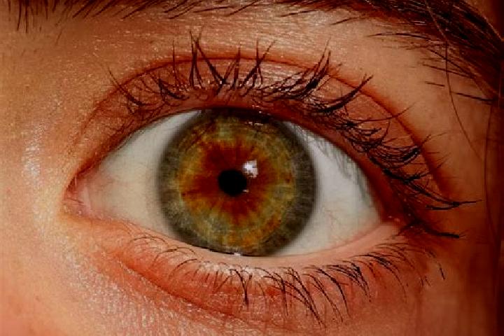 Sadie, 34, a red hazel-eyed mediterranean companion based in Marktredwitz. Offering Massage, OWO. Available for incall and outcall, day and evening dates.