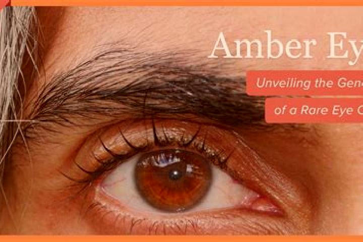 Sadie, 35, a black amber-eyed slavic companion based in Erlangkou. Offering Massage, GFE, Domination. Available for incall and outcall, overnight bookings av...