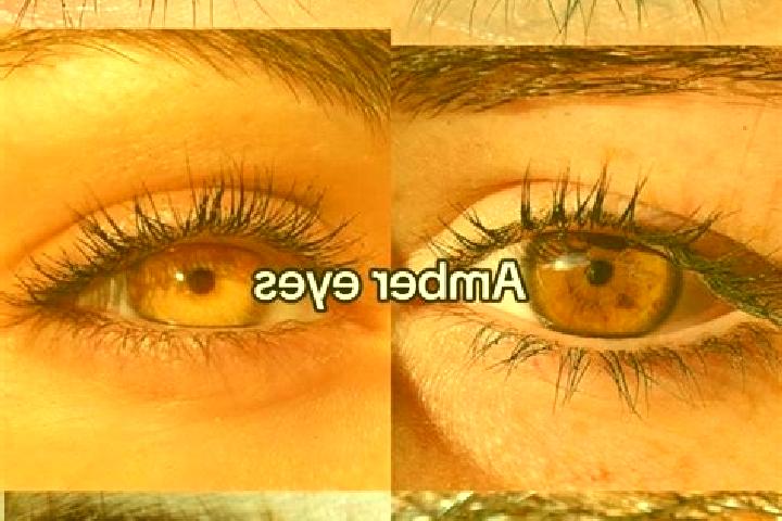 Sadie, 35, a chestnut amber-eyed middle eastern companion based in Greenwood. Offering Duos, Dinner Date, Tantra. Available for incall and outcall, overnight...