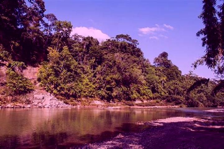 Sadie, 35 — Escort in Arajuno, Ecuador