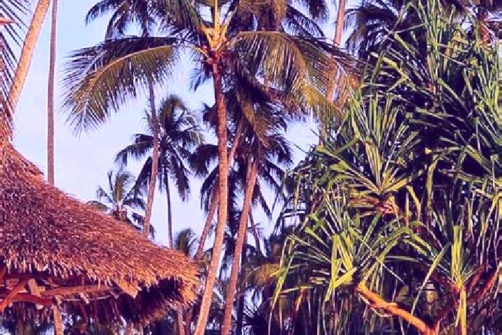 Sadie, 35 — Escort in Chala, Tanzania