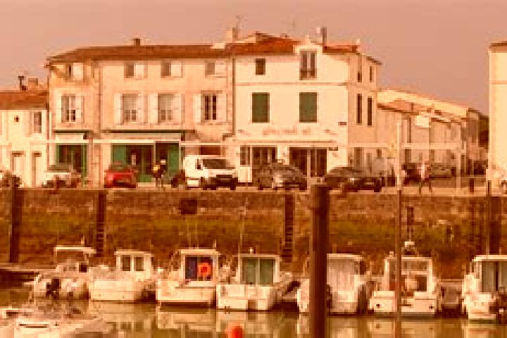 Sadie, 35 — Escort in La Flotte, France