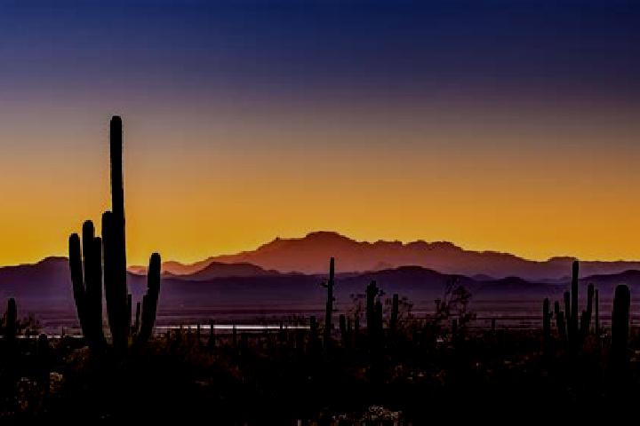Sadie, 35 — Escort in South Tucson, United States