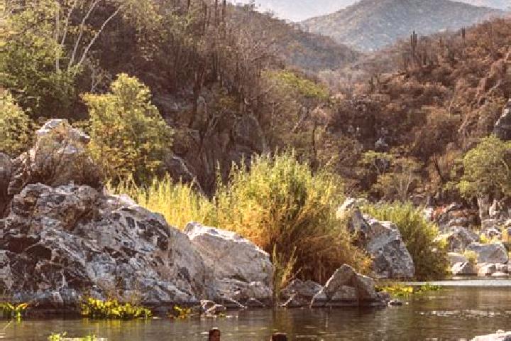 Sadie, 35 — Escort in Union Hidalgo (El Chorro), Mexico