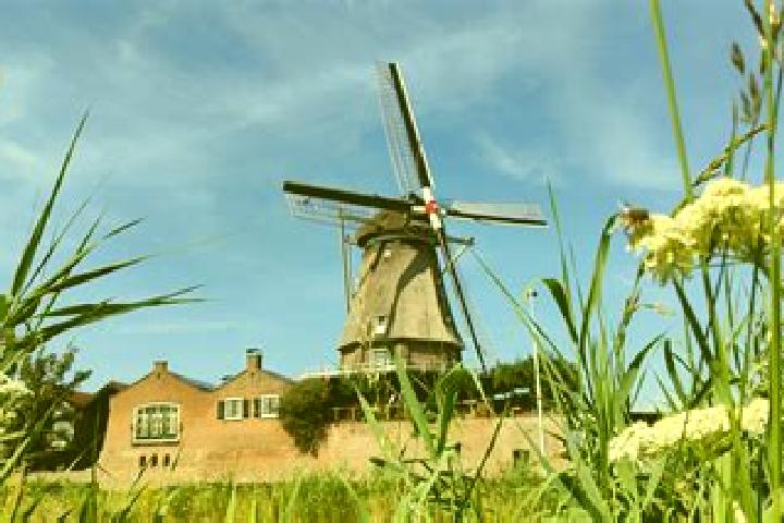 Sadie, 35 — Escort in Welberg, Netherlands