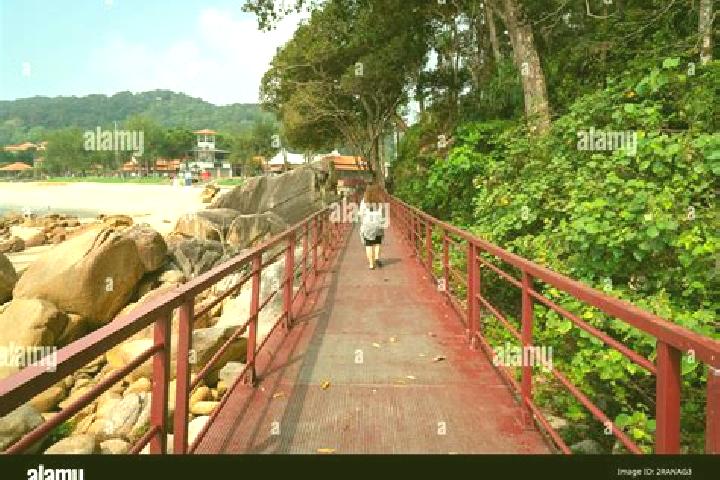 Sadie, 36 — Escort in Guar Chempedak, Malaysia