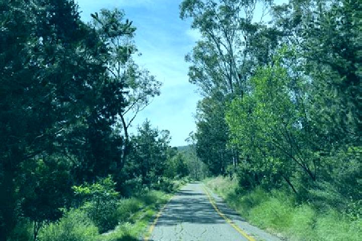 Sadie, 36 — Escort in Sierra de Guadalupe, Mexico