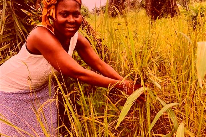 Sadie, 37 — Escort in Lunsar, Sierra Leone