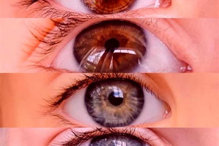 Sadie, 38, a chestnut green-eyed mixed companion based in Catengue. Offering Deep French Kissing, Domination, Overnight, Massage. Available for incall and ou...