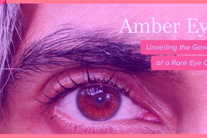 Sadie, 38, a red amber-eyed caucasian companion based in Langkampfen. Offering Overnight, Girlfriend Experience, CIM, Dinner Date, Tantra. Available for inca...