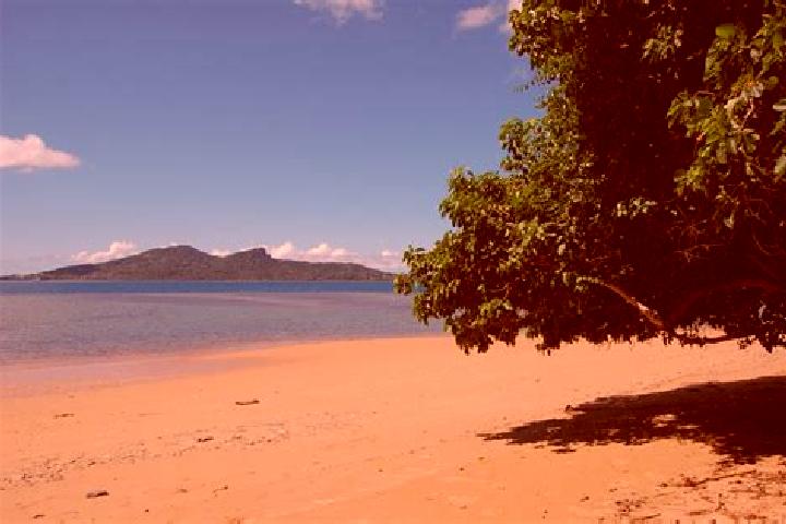 Sadie, 38 — Escort in Kani-Keli, Mayotte