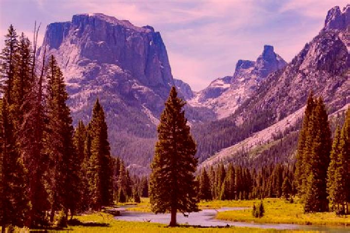 Sadie, 38 — Escort in Wyoming, United States