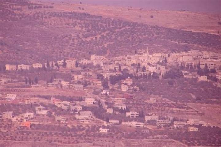 Sadie, 38 — Escort in Yasid, Palestine