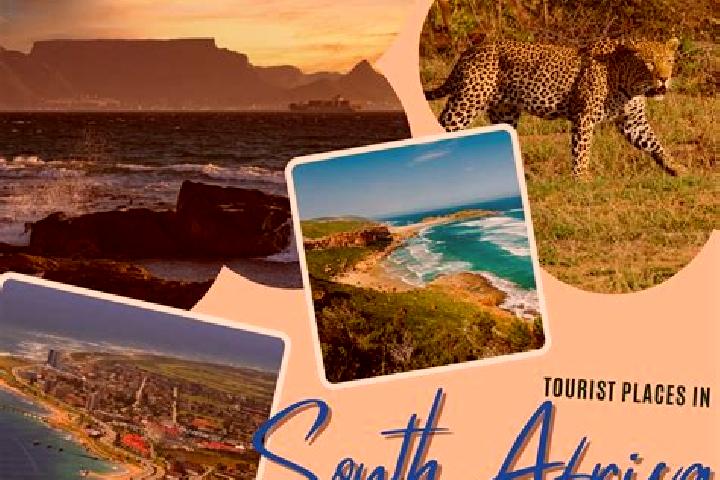 Sadie, 39 — Escort in Calcutta, South Africa