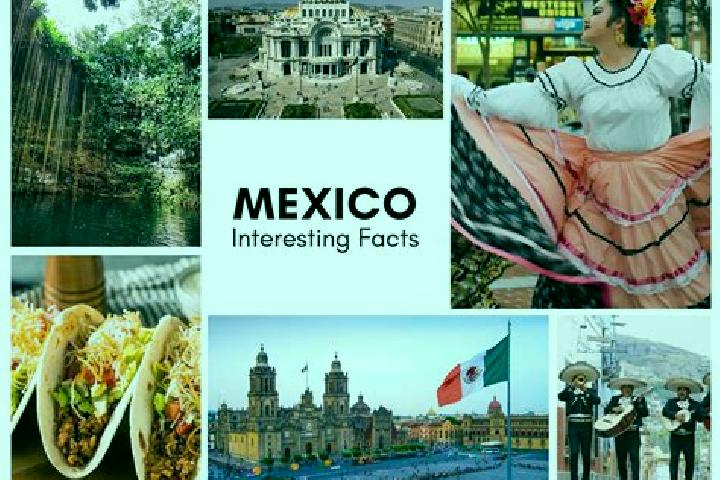 Sadie, 39 — Escort in La Cinta, Mexico