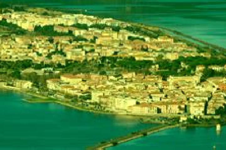 Sadie, 39 — Escort in Orbetello Scalo, Italy