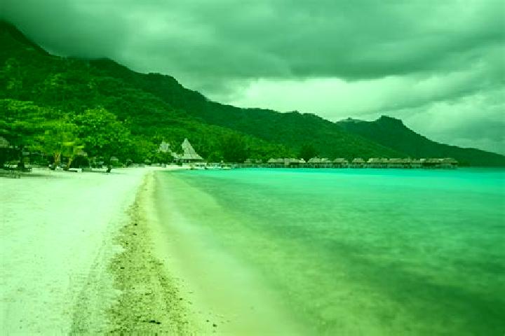 Sadie, 39 — Escort in Teavaro, French Polynesia