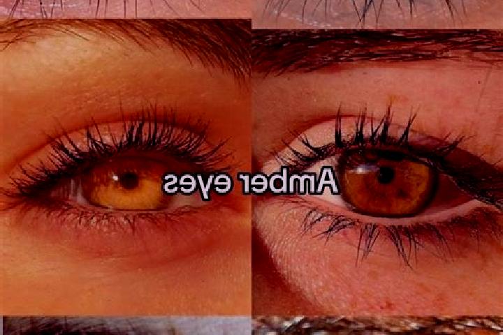 Sage, 20, a chestnut amber-eyed mixed companion based in Rostin. Offering BDSM, CIM, OWO, Erotic Massage. Available for incall and outcall, overnight booking...