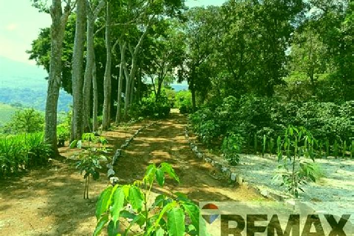 Sage, 20 — Escort in Ahuachapan, El Salvador