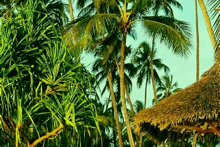 Sage, 20 — Escort in Chala, Tanzania