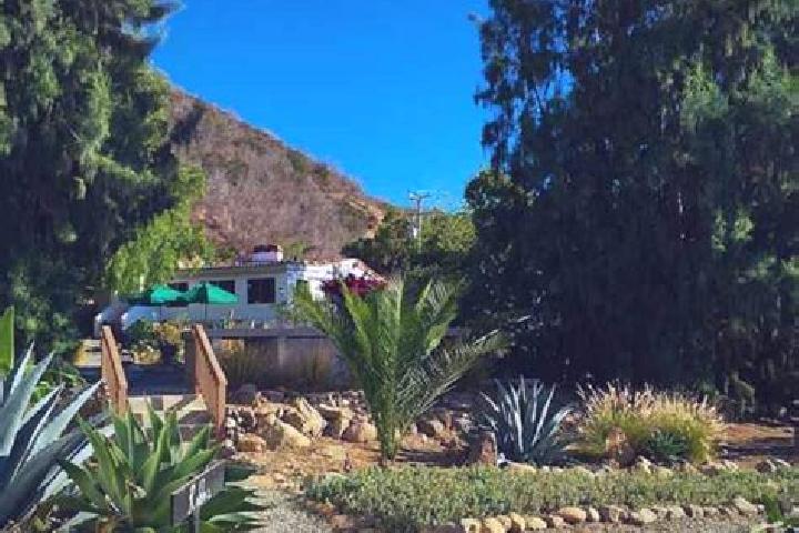 Sage, 21 — Escort in El Sauzal de Rodriguez, Mexico