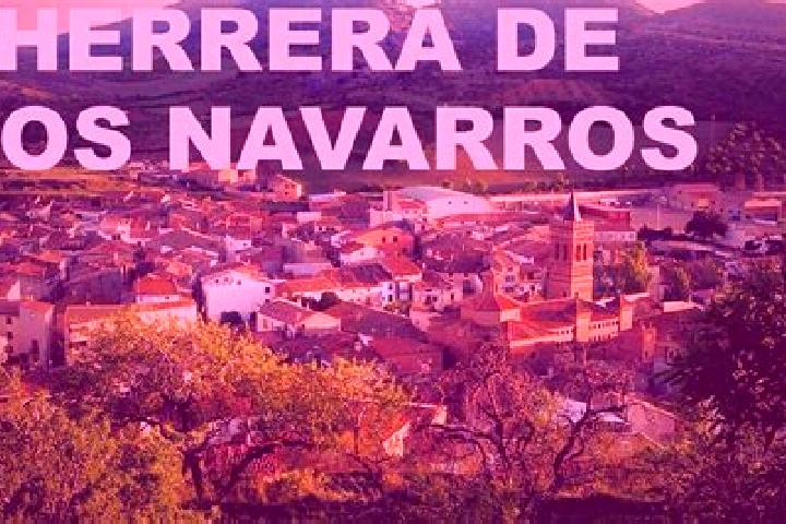 Sage, 21 — Escort in Herrera de los Navarros, Spain