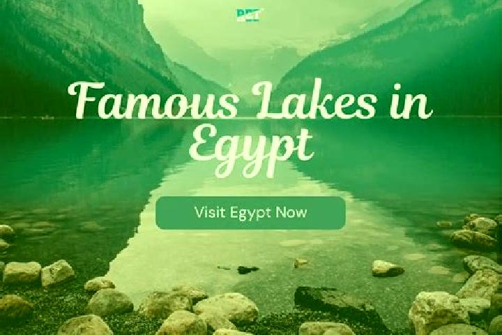 Sage, 21 — Escort in Qasr al Farafirah, Egypt