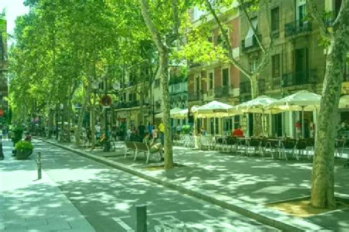 Sage, 21 — Escort in Sant Marti de Tous, Spain