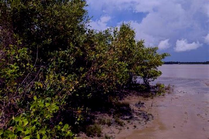 Sage, 21 — Escort in Weg naar Zee, Suriname