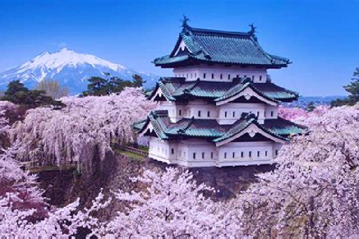 Sage, 22 — Escort in Hirosaki, Japan