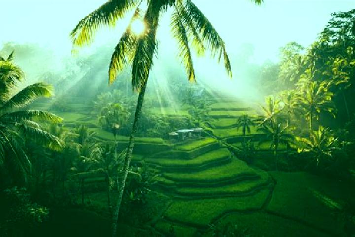 Sage, 22 — Escort in Ubud, Indonesia