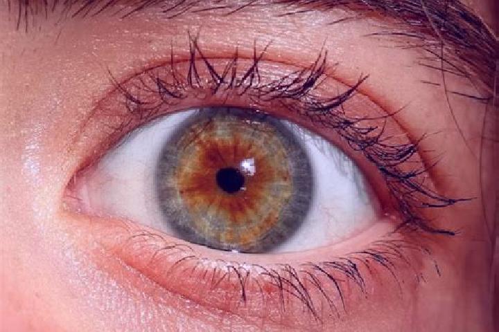 Sage, 23, a red hazel-eyed latina companion based in Bremond. Offering Overnight, Massage, Striptease. Available for incall and outcall, day and evening dates.