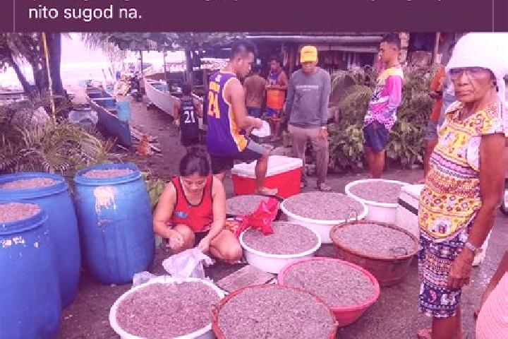 Sage, 23 — Escort in Calongbuyan, Philippines