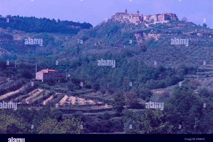 Sage, 23 — Escort in Monteleone d Orvieto, Italy
